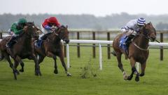 horse racing action
